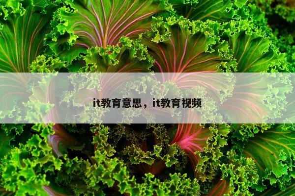 it教育意思，it教育视频