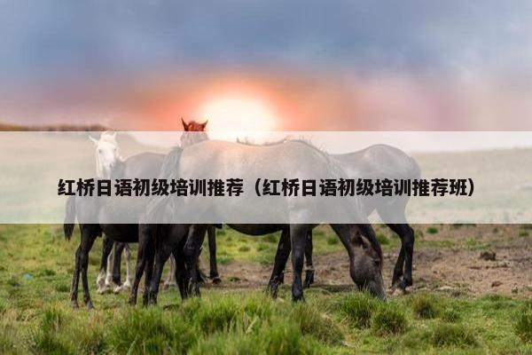 红桥日语初级培训推荐（红桥日语初级培训推荐班）