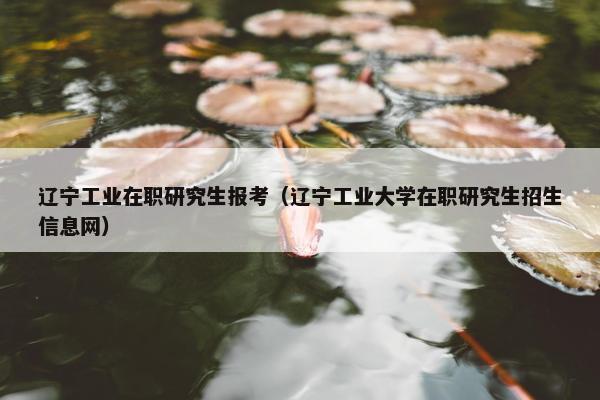辽宁工业在职研究生报考（辽宁工业大学在职研究生招生信息网）