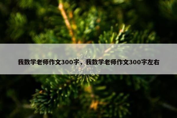 我数学老师作文300字，我数学老师作文300字左右