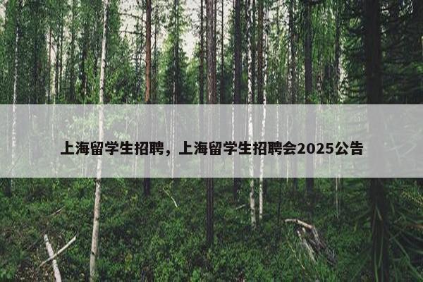 上海留学生招聘，上海留学生招聘会2025公告