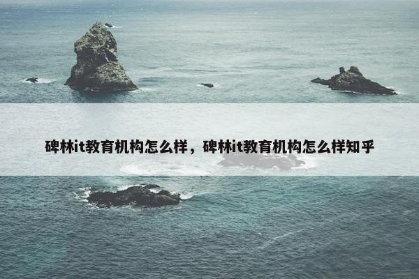 碑林it教育机构怎么样，碑林it教育机构怎么样知乎