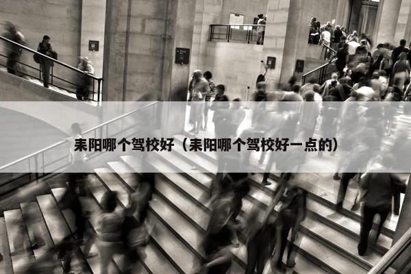 耒阳哪个驾校好（耒阳哪个驾校好一点的）