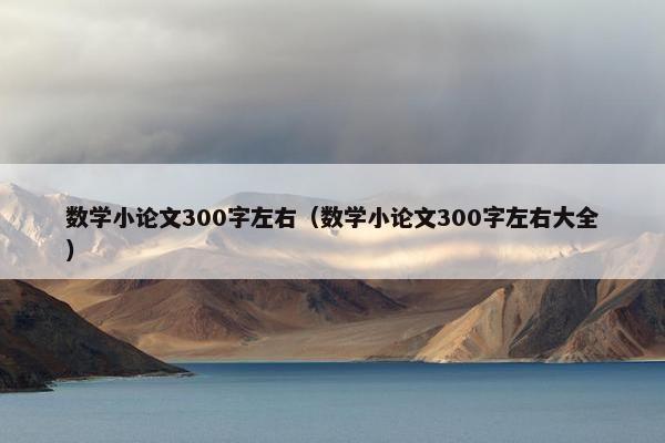 数学小论文300字左右（数学小论文300字左右大全）