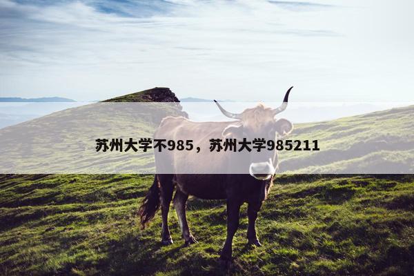 苏州大学不985，苏州大学985211