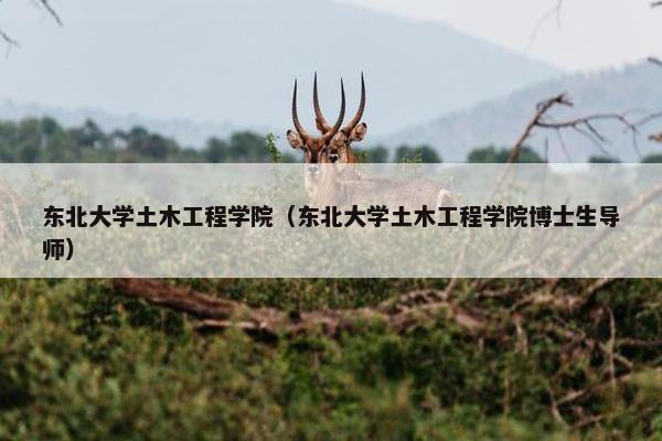 东北大学土木工程学院（东北大学土木工程学院博士生导师）
