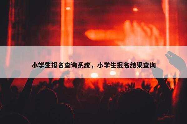 小学生报名查询系统，小学生报名结果查询