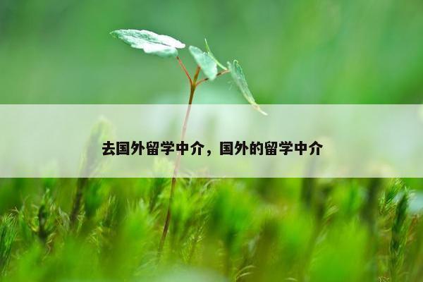 去国外留学中介，国外的留学中介