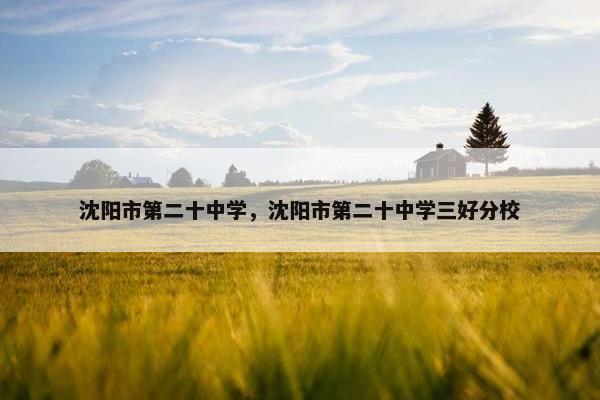 沈阳市第二十中学，沈阳市第二十中学三好分校