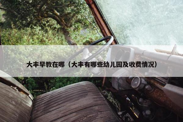 大丰早教在哪（大丰有哪些幼儿园及收费情况）