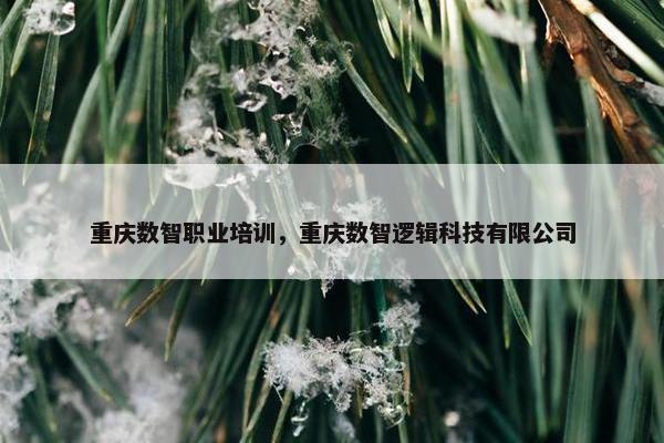 重庆数智职业培训，重庆数智逻辑科技有限公司