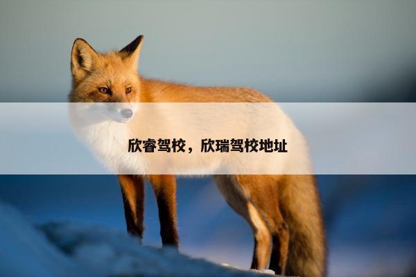 欣睿驾校，欣瑞驾校地址