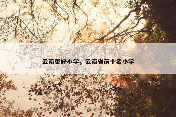 云南更好小学，云南省前十名小学