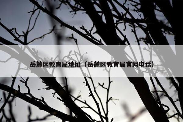 岳麓区教育局地址（岳麓区教育局官网电话）