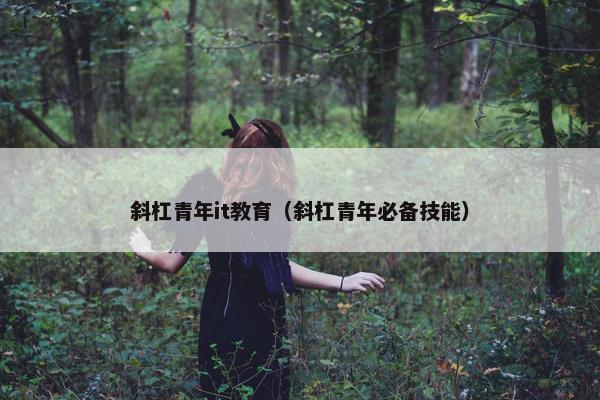 斜杠青年it教育（斜杠青年必备技能）