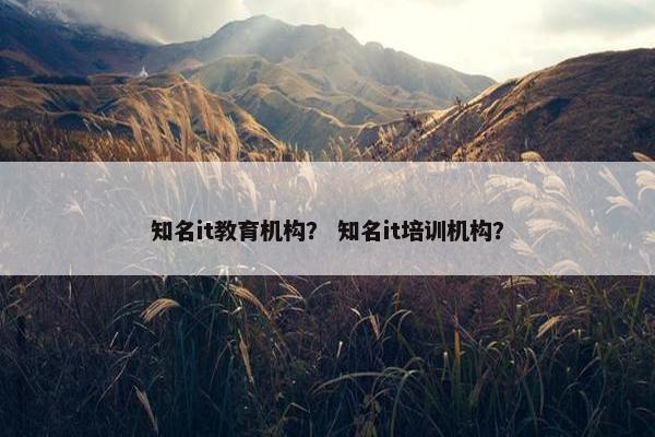 知名it教育机构？ 知名it培训机构？
