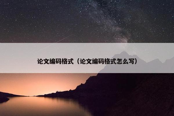 论文编码格式（论文编码格式怎么写）