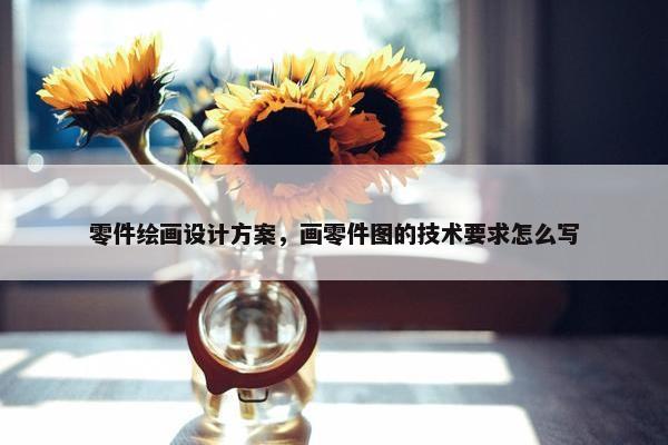 零件绘画设计方案，画零件图的技术要求怎么写