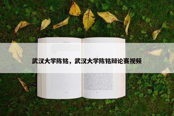武汉大学陈铭，武汉大学陈铭辩论赛视频