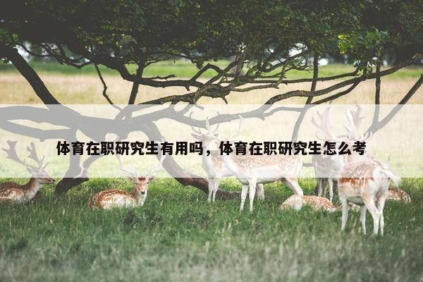 体育在职研究生有用吗，体育在职研究生怎么考