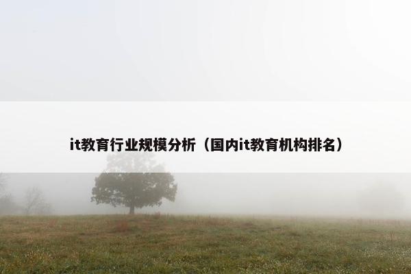 it教育行业规模分析（国内it教育机构排名）