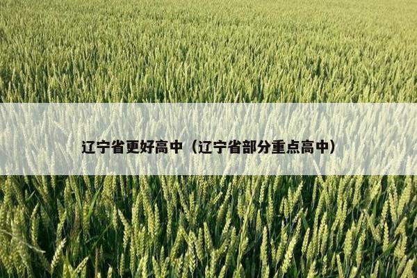 辽宁省更好高中（辽宁省部分重点高中）
