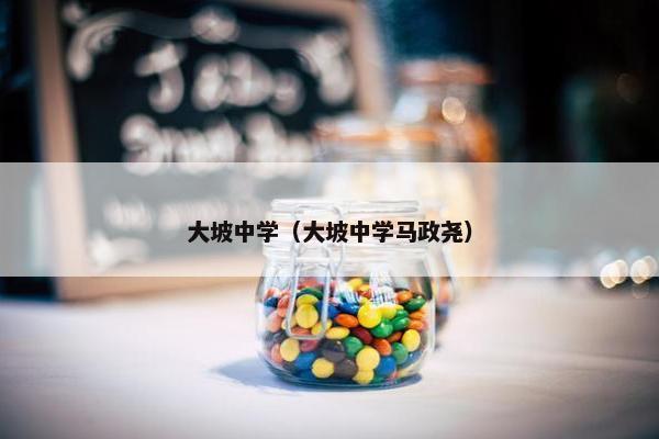 大坡中学（大坡中学马政尧）