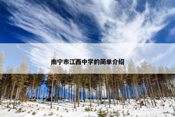 南宁市江西中学的简单介绍