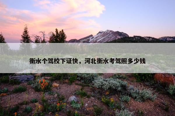 衡水个驾校下证快，河北衡水考驾照多少钱