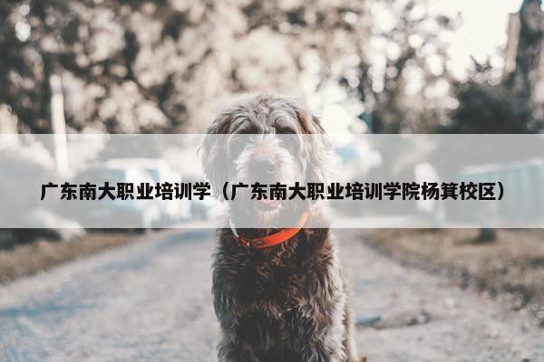 广东南大职业培训学（广东南大职业培训学院杨箕校区）