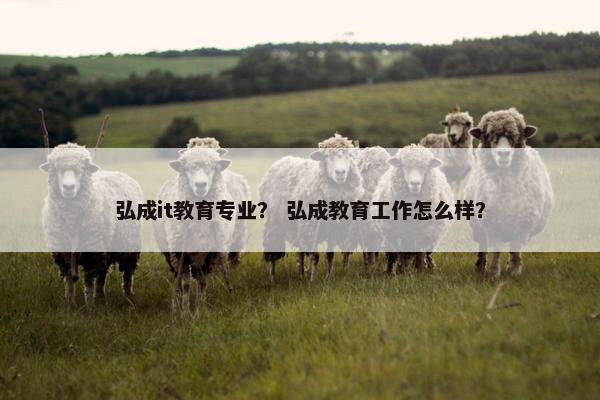 弘成it教育专业？ 弘成教育工作怎么样？