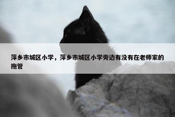 萍乡市城区小学，萍乡市城区小学旁边有没有在老师家的拖管