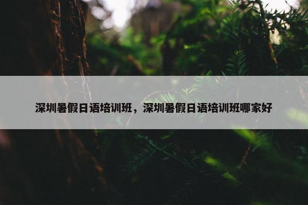 深圳暑假日语培训班，深圳暑假日语培训班哪家好