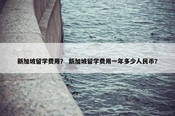 新加坡留学费用？ 新加坡留学费用一年多少人民币？