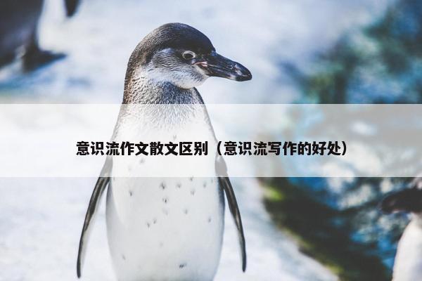 意识流作文散文区别（意识流写作的好处）