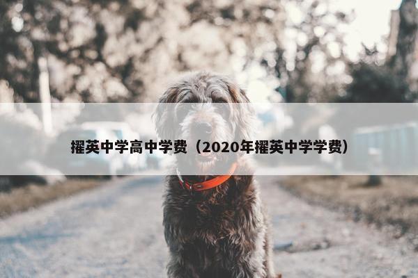 擢英中学高中学费（2020年擢英中学学费）