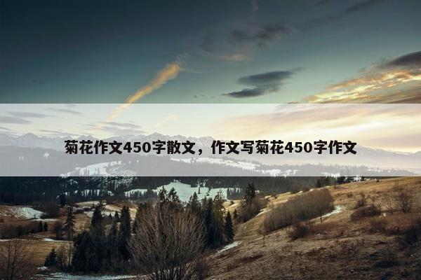 菊花作文450字散文，作文写菊花450字作文