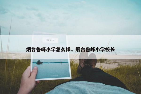 烟台鲁峰小学怎么样，烟台鲁峰小学校长