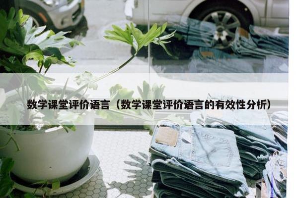 数学课堂评价语言（数学课堂评价语言的有效性分析）