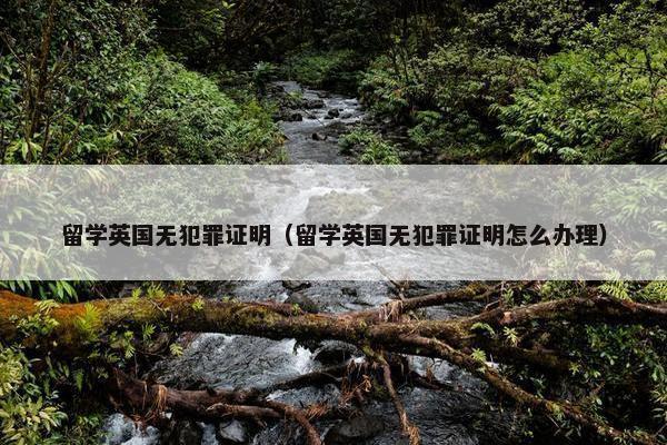 留学英国无犯罪证明（留学英国无犯罪证明怎么办理）