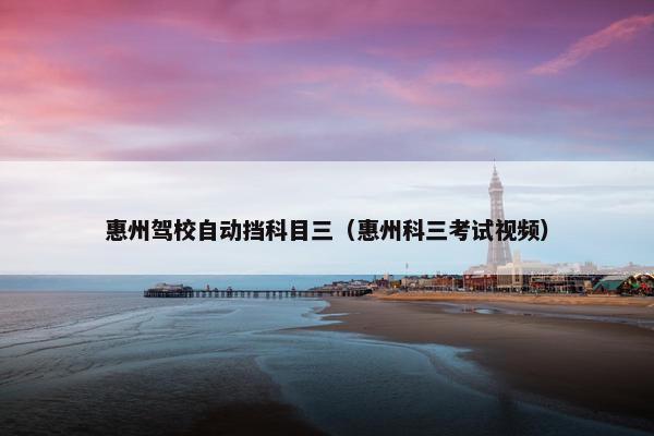 惠州驾校自动挡科目三（惠州科三考试视频）
