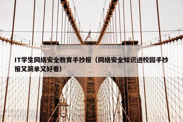 IT学生网络安全教育手抄报（网络安全知识进校园手抄报又简单又好看）