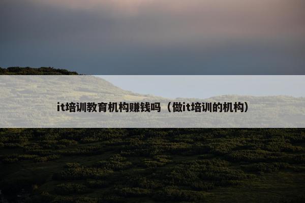 it培训教育机构赚钱吗（做it培训的机构）