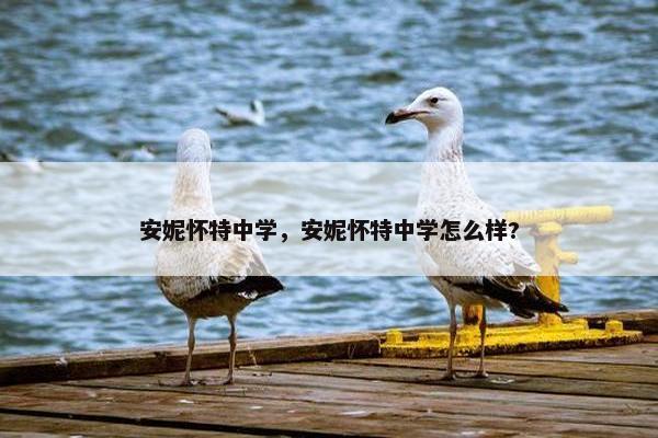 安妮怀特中学，安妮怀特中学怎么样?