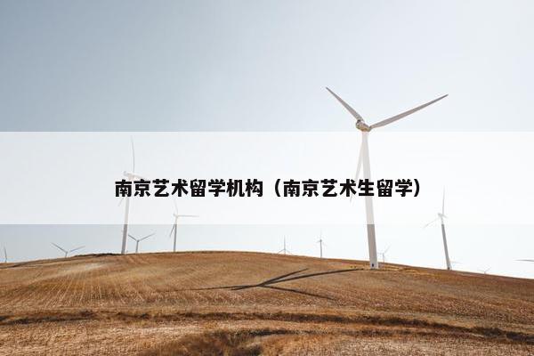 南京艺术留学机构（南京艺术生留学）