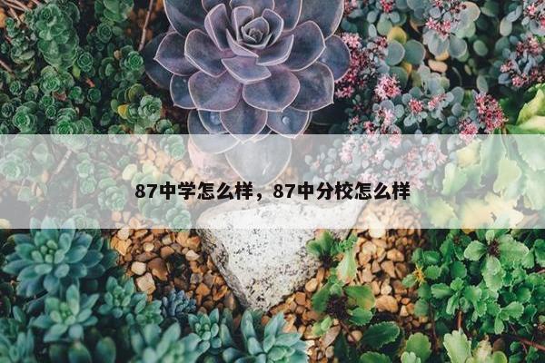 87中学怎么样，87中分校怎么样