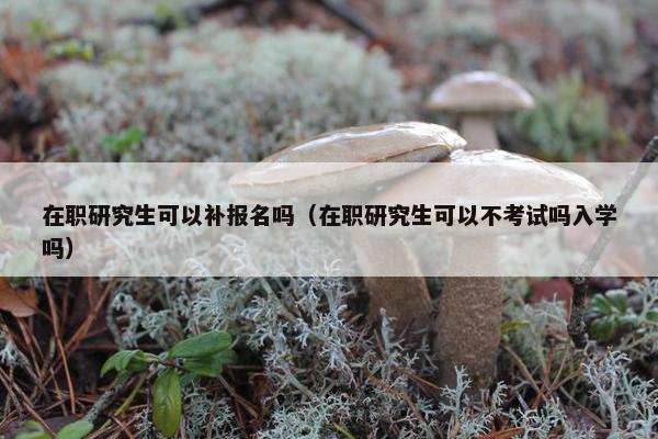 在职研究生可以补报名吗（在职研究生可以不考试吗入学吗）