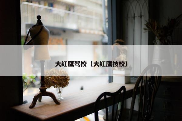 大红鹰驾校（大红鹰技校）
