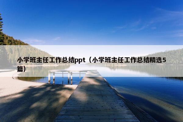 小学班主任工作总结ppt（小学班主任工作总结精选5篇）