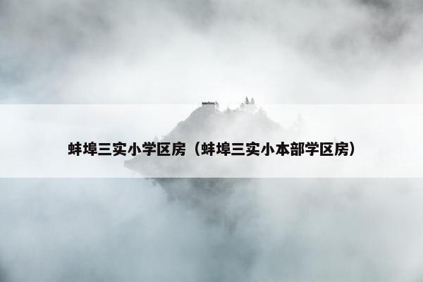 蚌埠三实小学区房（蚌埠三实小本部学区房）